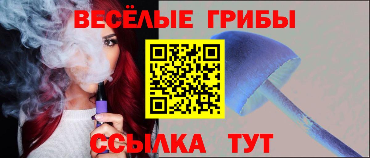 Белово  Галлюциногенные грибы Cubensis  наркота  Вход с VPN 